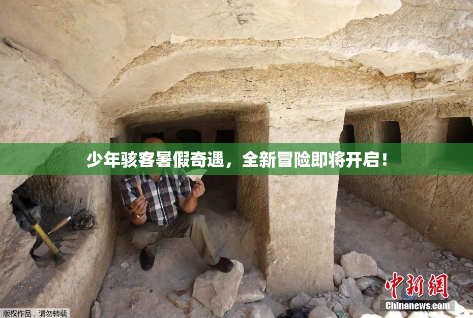 少年骇客暑假奇遇，全新冒险即将开启！
