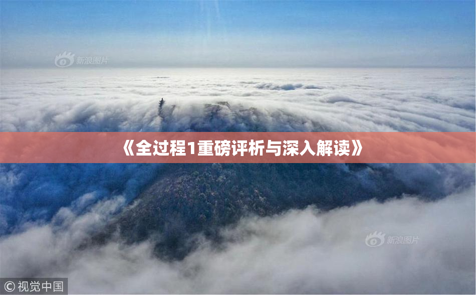 《全过程1重磅评析与深入解读》