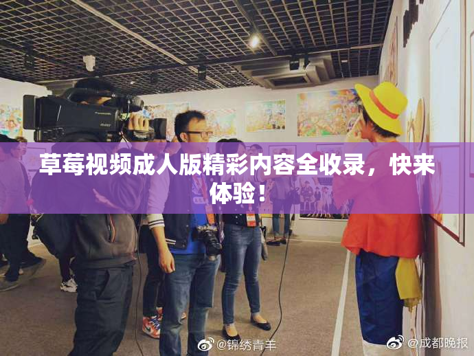 草莓视频成人版精彩内容全收录，快来体验！