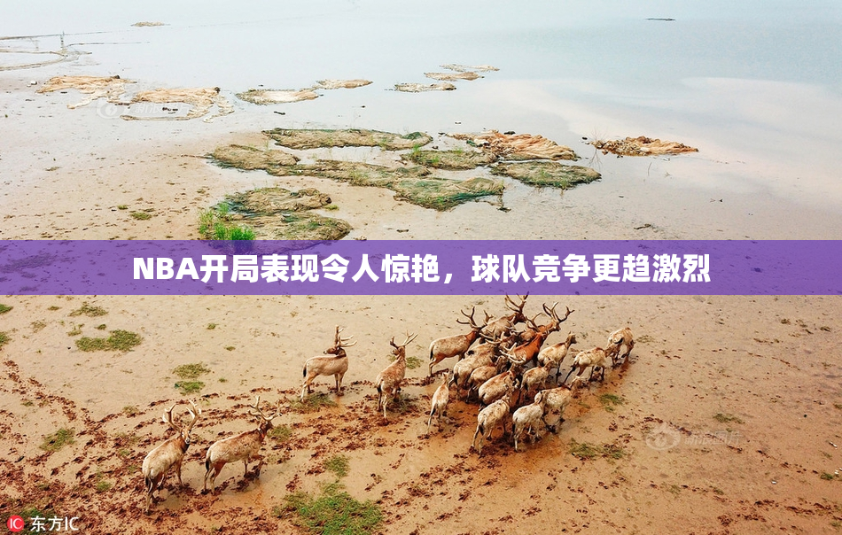 NBA开局表现令人惊艳，球队竞争更趋激烈