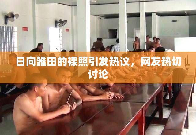 日向雏田的裸照引发热议，网友热切讨论