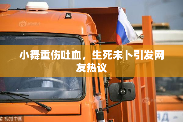 小舞重伤吐血，生死未卜引发网友热议