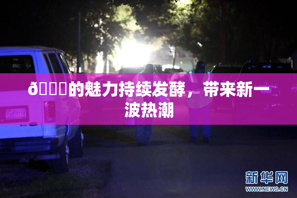 🈚的魅力持续发酵，带来新一波热潮