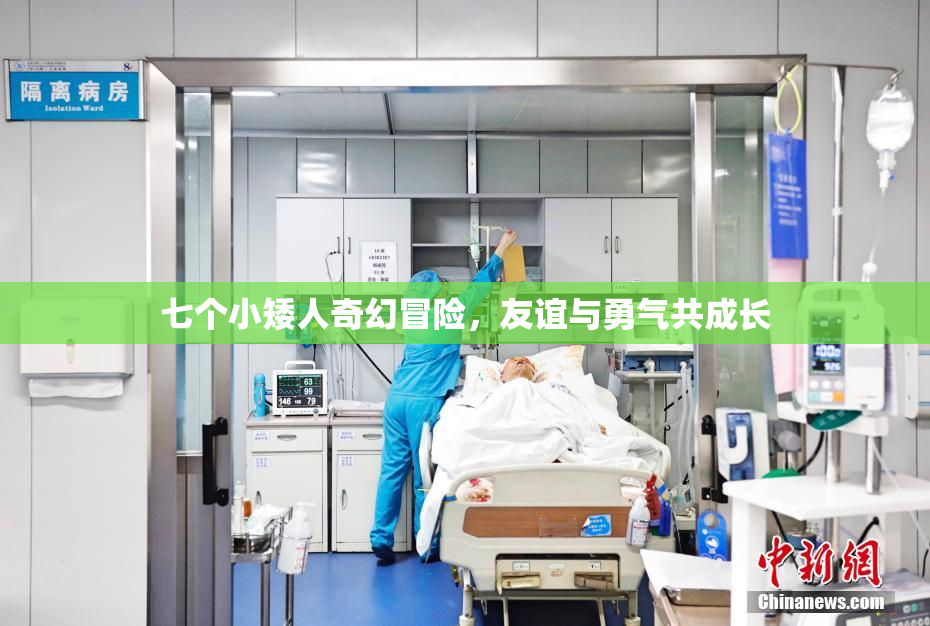 七个小矮人奇幻冒险，友谊与勇气共成长