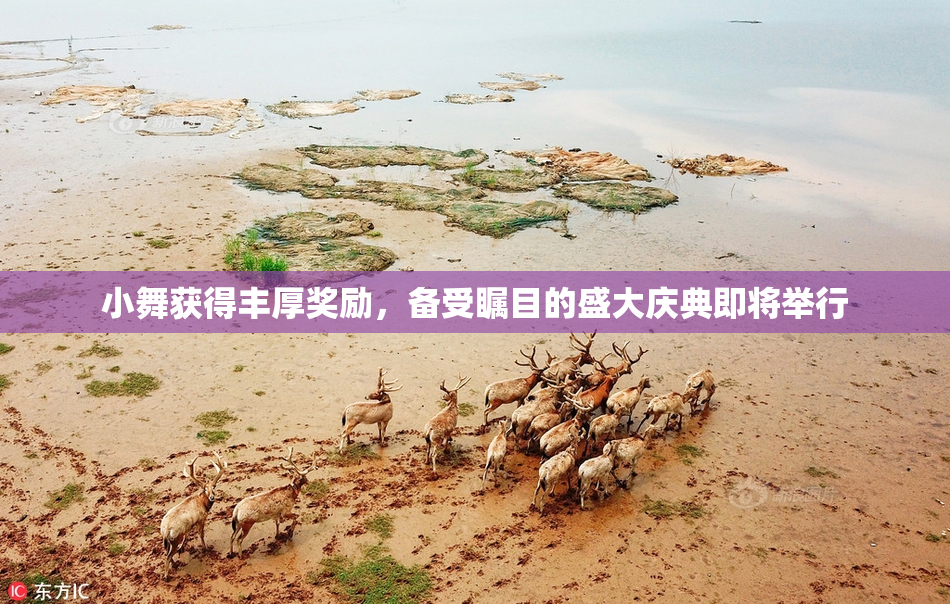 小舞获得丰厚奖励，备受瞩目的盛大庆典即将举行
