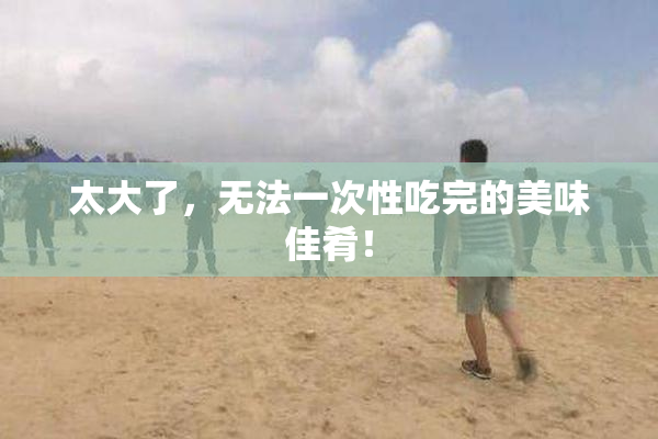 太大了，无法一次性吃完的美味佳肴！