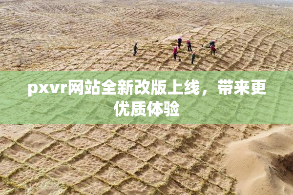 pxvr网站全新改版上线，带来更优质体验