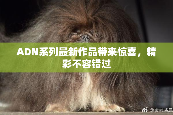 ADN系列最新作品带来惊喜，精彩不容错过