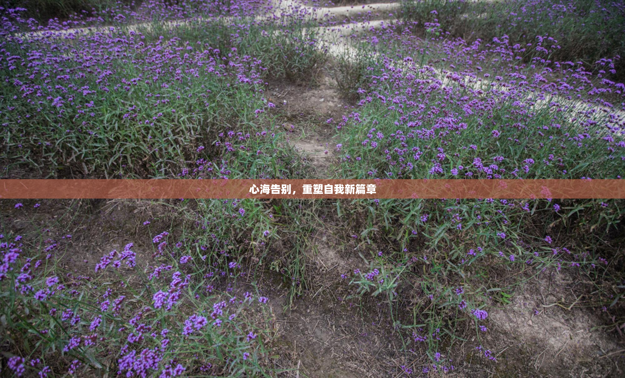 心海告别，重塑自我新篇章