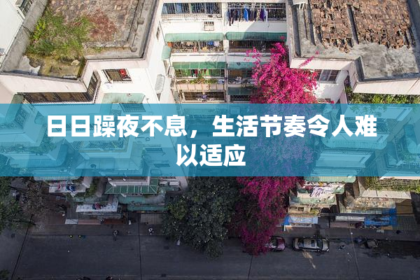日日躁夜不息，生活节奏令人难以适应