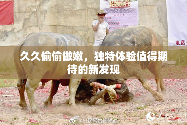 久久偷偷做嫩，独特体验值得期待的新发现