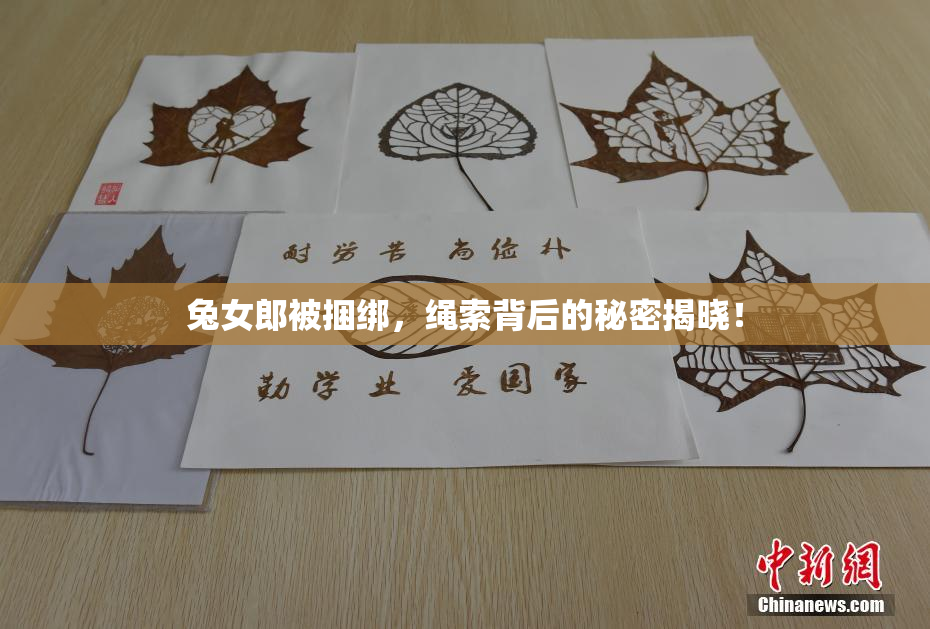 兔女郎被捆绑，绳索背后的秘密揭晓！