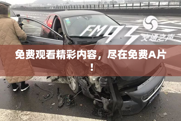 免费观看精彩内容，尽在免费A片！
