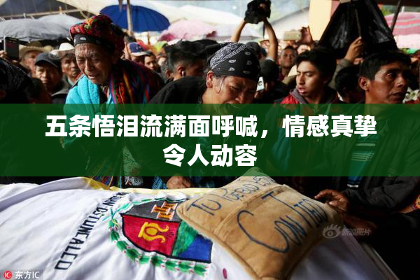 五条悟泪流满面呼喊，情感真挚令人动容