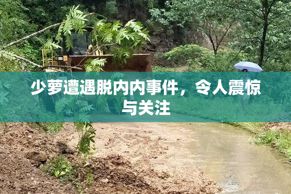 少萝遭遇脱内内事件，令人震惊与关注