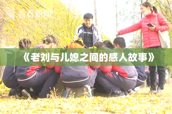 《老刘与儿媳之间的感人故事》
