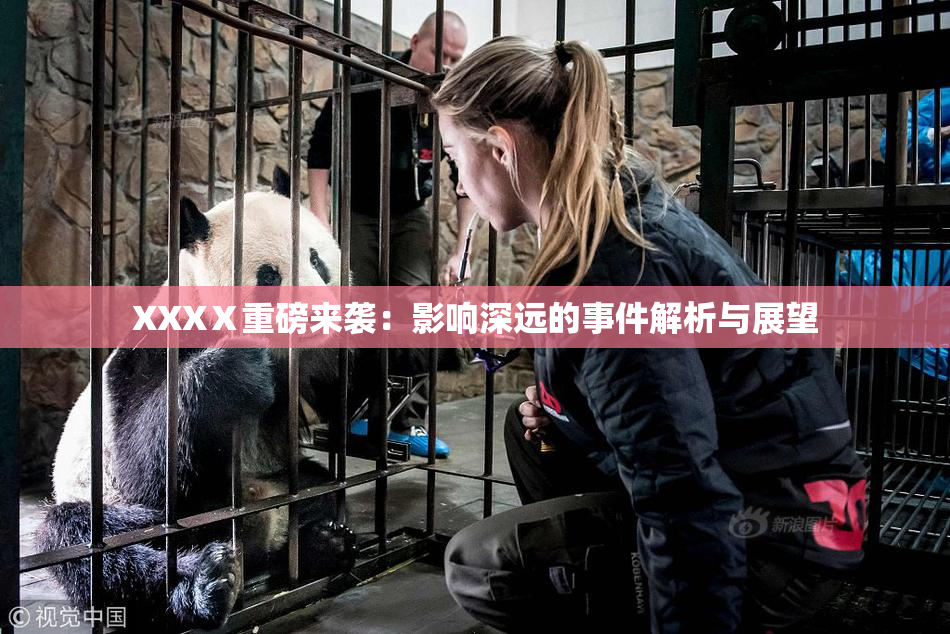 XXXⅩ重磅来袭：影响深远的事件解析与展望