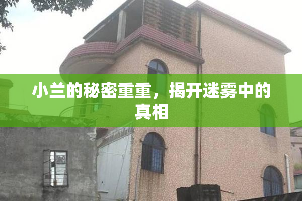 小兰的秘密重重，揭开迷雾中的真相