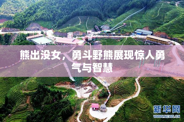 熊出没女，勇斗野熊展现惊人勇气与智慧