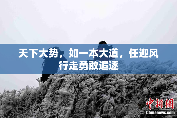 天下大势，如一本大道，任迎风行走勇敢追逐