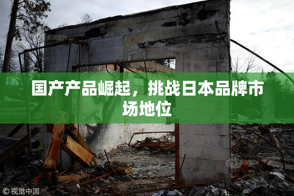 国产产品崛起，挑战日本品牌市场地位