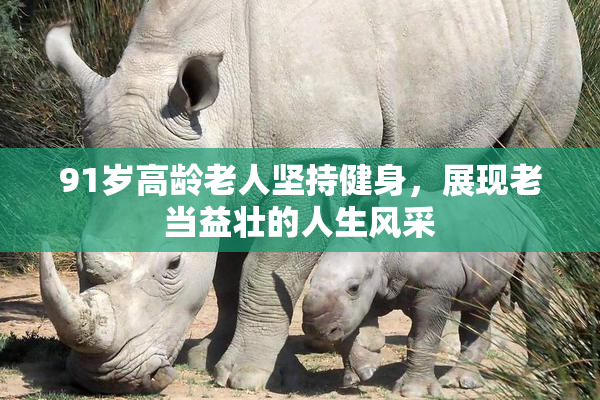 91岁高龄老人坚持健身，展现老当益壮的人生风采