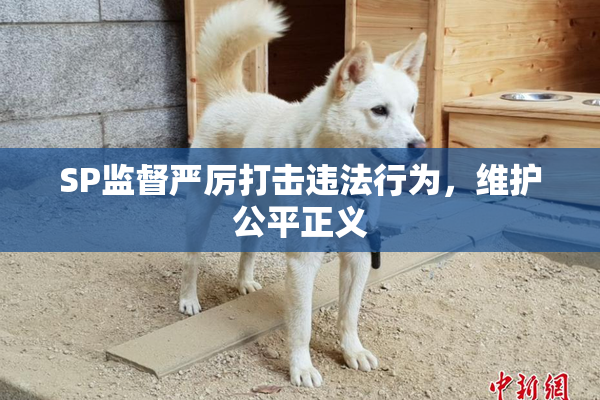 SP监督严厉打击违法行为，维护公平正义