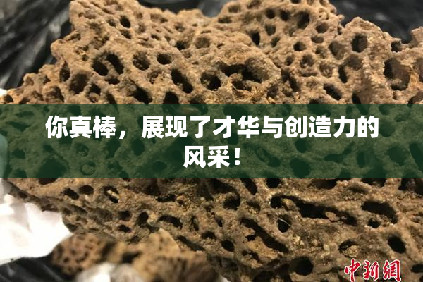 你真棒，展现了才华与创造力的风采！