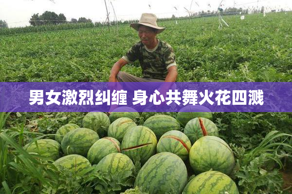 男女激烈纠缠 身心共舞火花四溅