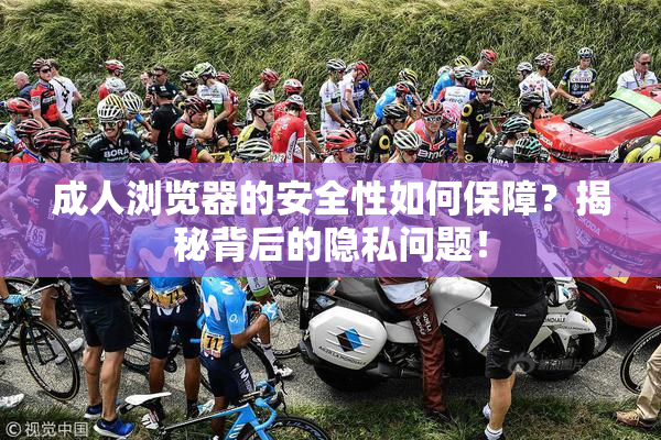 成人浏览器的安全性如何保障？揭秘背后的隐私问题！
