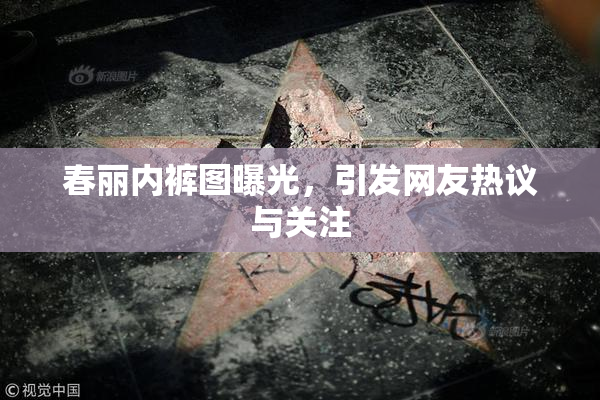 春丽内裤图曝光，引发网友热议与关注