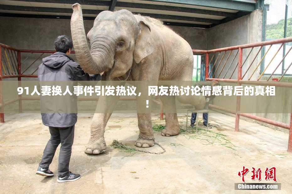 91人妻换人事件引发热议，网友热讨论情感背后的真相！