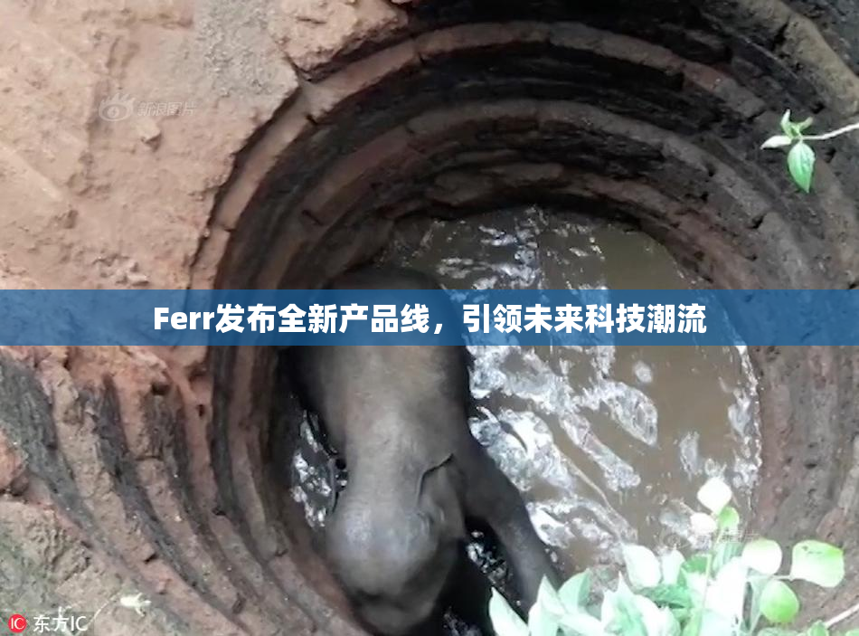 Ferr发布全新产品线，引领未来科技潮流