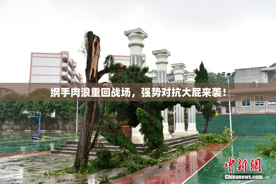 纲手肉浪重回战场，强势对抗大屁来袭！