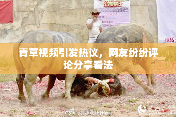 青草视频引发热议，网友纷纷评论分享看法