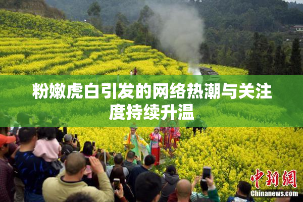 粉嫩虎白引发的网络热潮与关注度持续升温