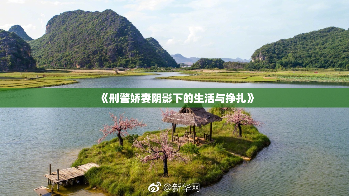《刑警娇妻阴影下的生活与挣扎》