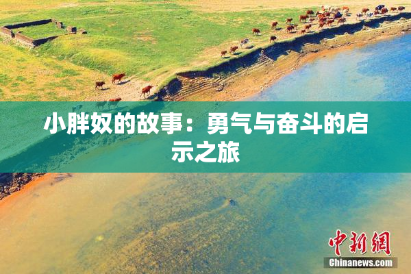 小胖奴的故事：勇气与奋斗的启示之旅