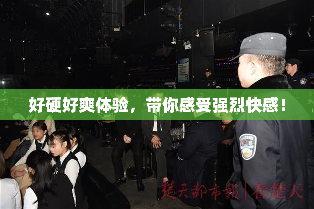 好硬好爽体验，带你感受强烈快感！