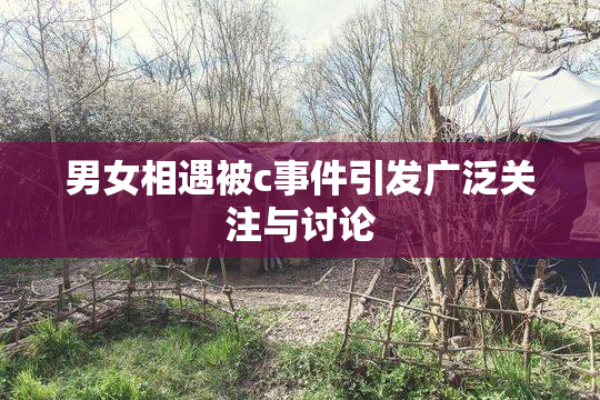 男女相遇被c事件引发广泛关注与讨论