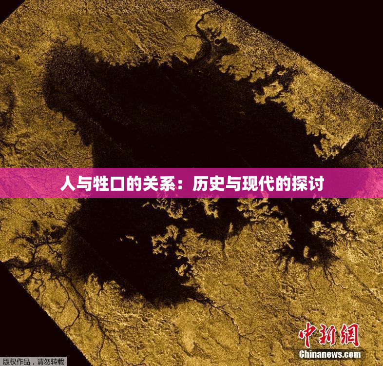 人与牲口的关系：历史与现代的探讨