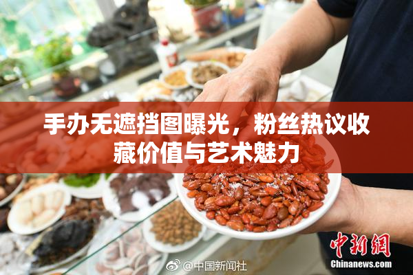 手办无遮挡图曝光，粉丝热议收藏价值与艺术魅力