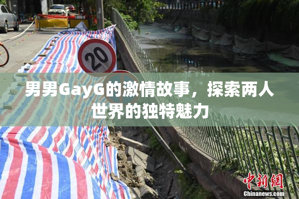 男男GayG的激情故事，探索两人世界的独特魅力