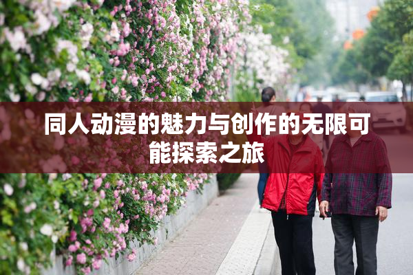 同人动漫的魅力与创作的无限可能探索之旅