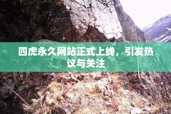四虎永久网站正式上线，引发热议与关注