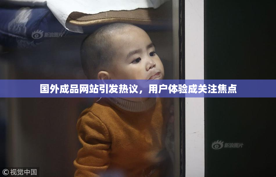国外成品网站引发热议，用户体验成关注焦点