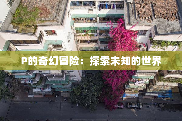 P的奇幻冒险：探索未知的世界