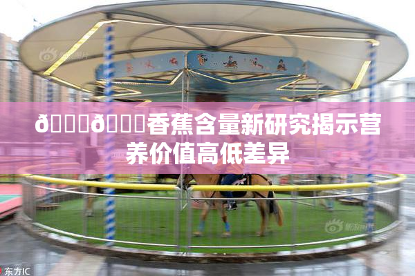 🔞🔞香蕉含量新研究揭示营养价值高低差异