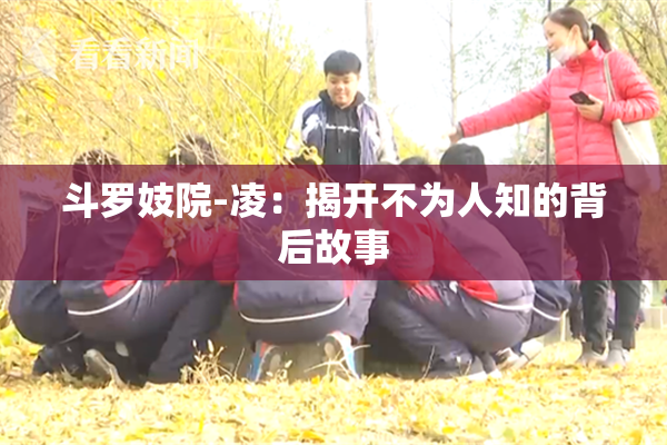 斗罗妓院-凌：揭开不为人知的背后故事