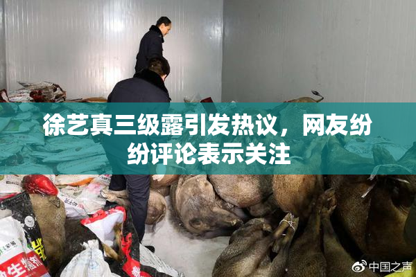 徐艺真三级露引发热议，网友纷纷评论表示关注